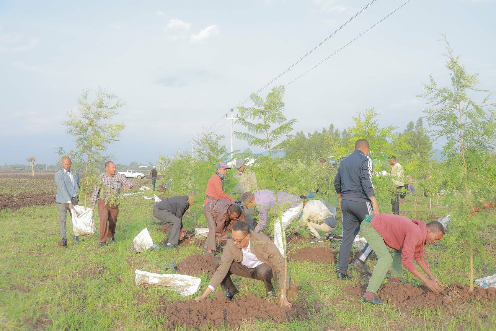 [#if smallImage??]
    [#if smallImage?is_hash]
        [#if smallImage.alt??]
            ${smallImage.alt}
        [/#if]
    [/#if]
[/#if]